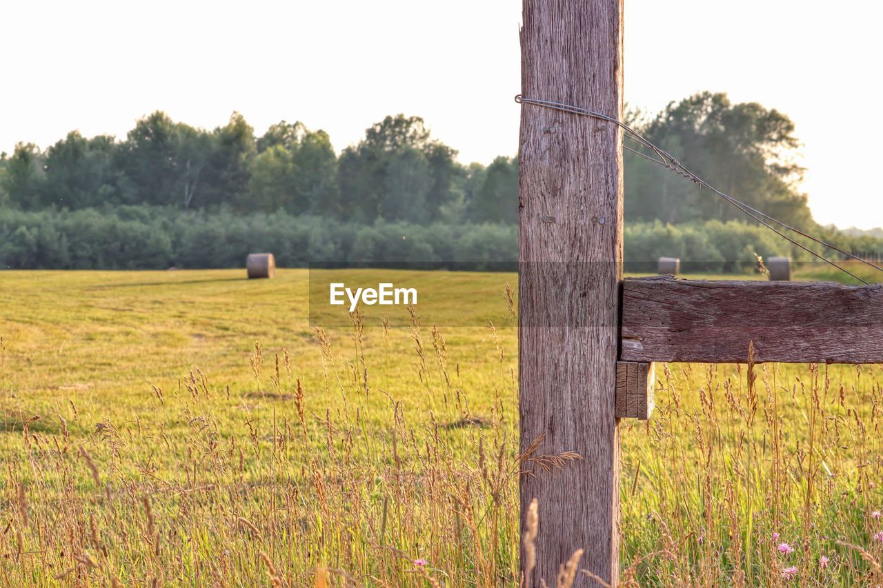 View of wooden post in field