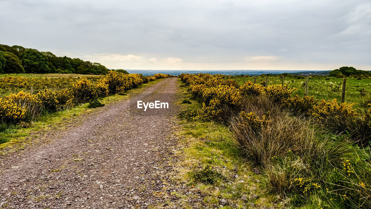 SCENIC VIEW OF LAND AGAINST SKY