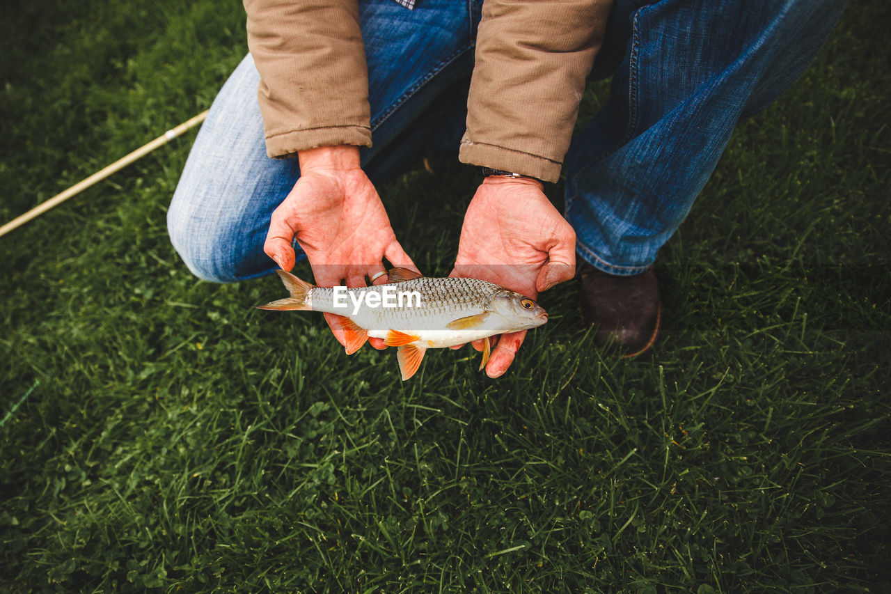 Low section of man holding fish on land