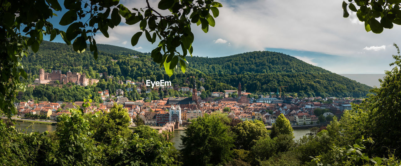 AERIAL VIEW OF TOWNSCAPE AND TREES IN CITY