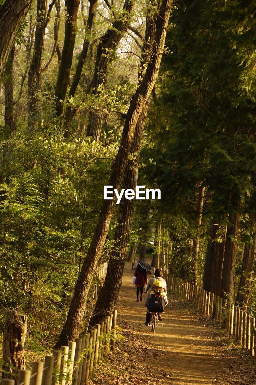 Rear view of people on dirt road in forest