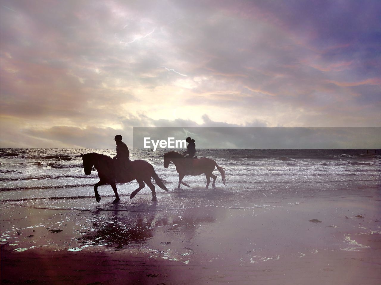 Silhouette people riding on horseback on beach