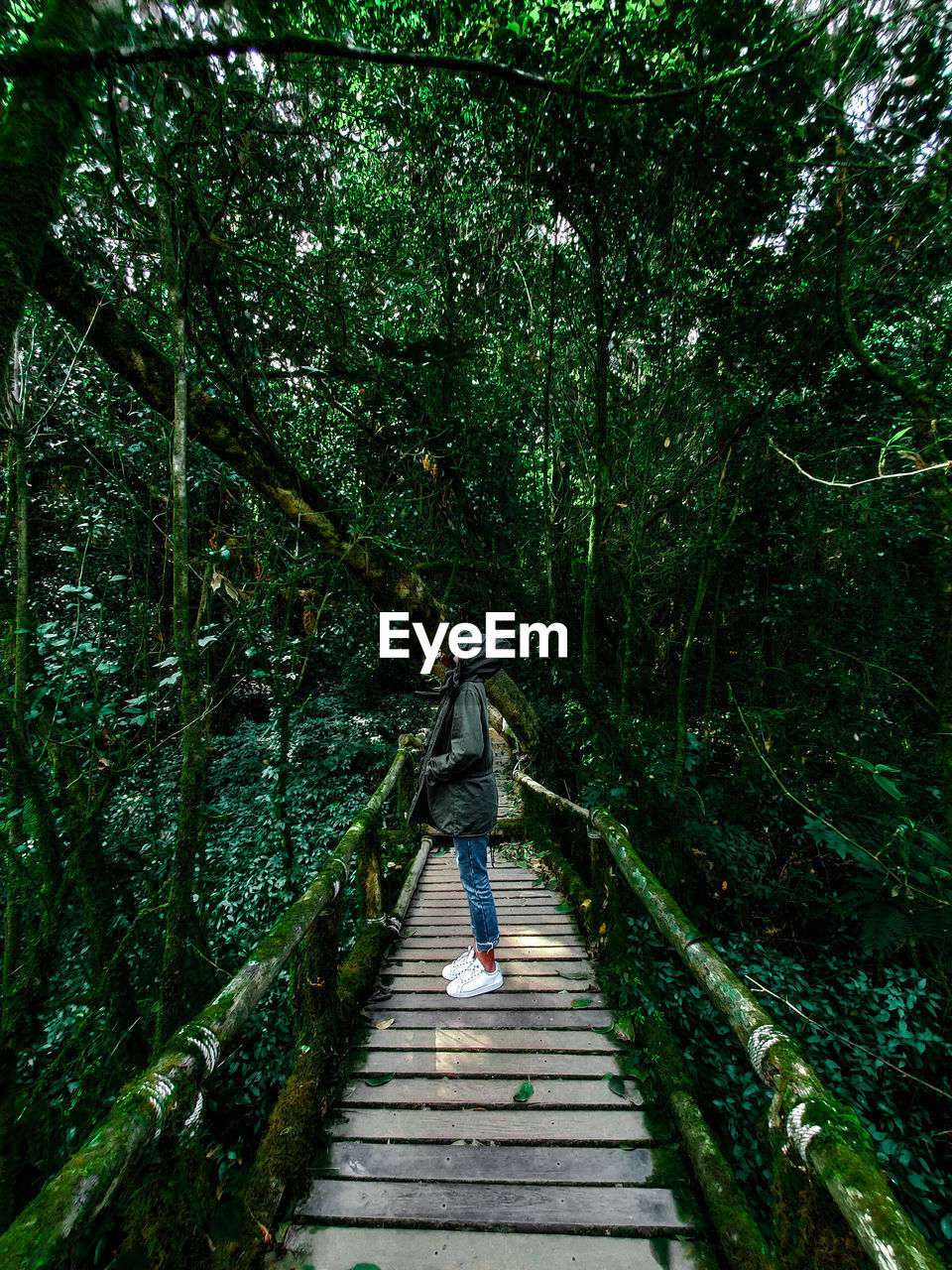 Side view of woman standing on footbridge in forest