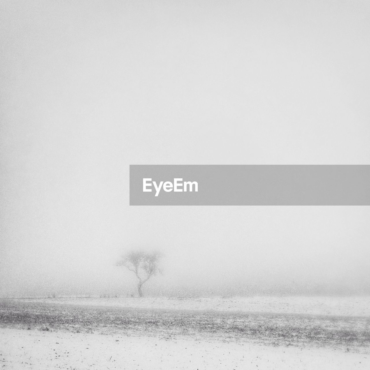 View of landscape during snow storm