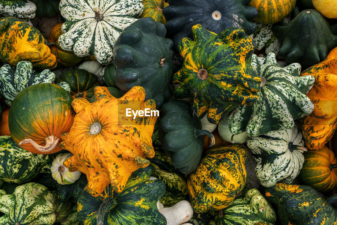 High angle view of various flowers in market