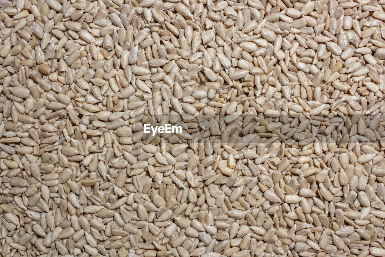 full frame, backgrounds, abundance, food and drink, flooring, large group of objects, whole grain, food, no people, healthy eating, wellbeing, cereal, raw food, freshness, cereal plant, produce, seed, agriculture, textured, sunflower seed, close-up, plant, crop, nature, indoors, still life