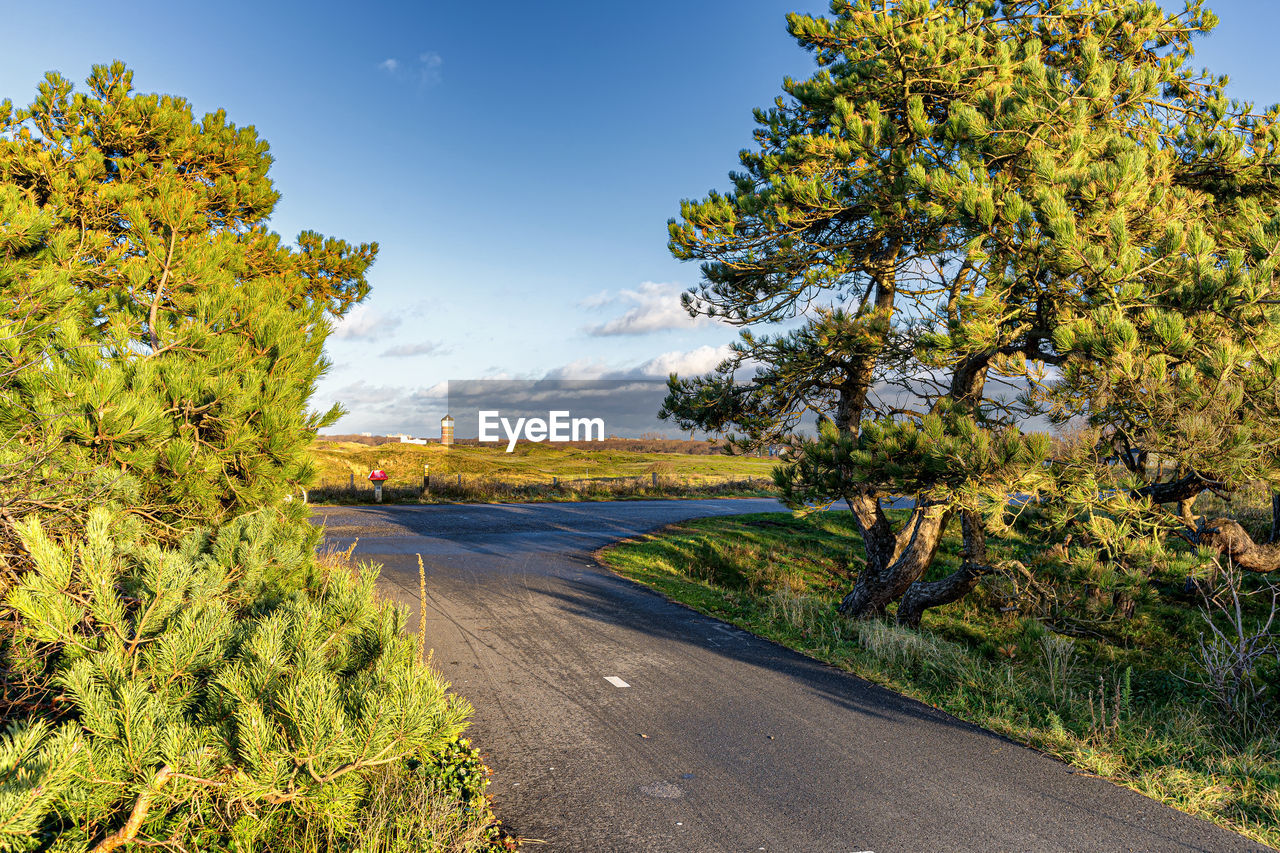 View over the solleveld dunes and water tower seen from the schelpenpad t-crossing  near monster 