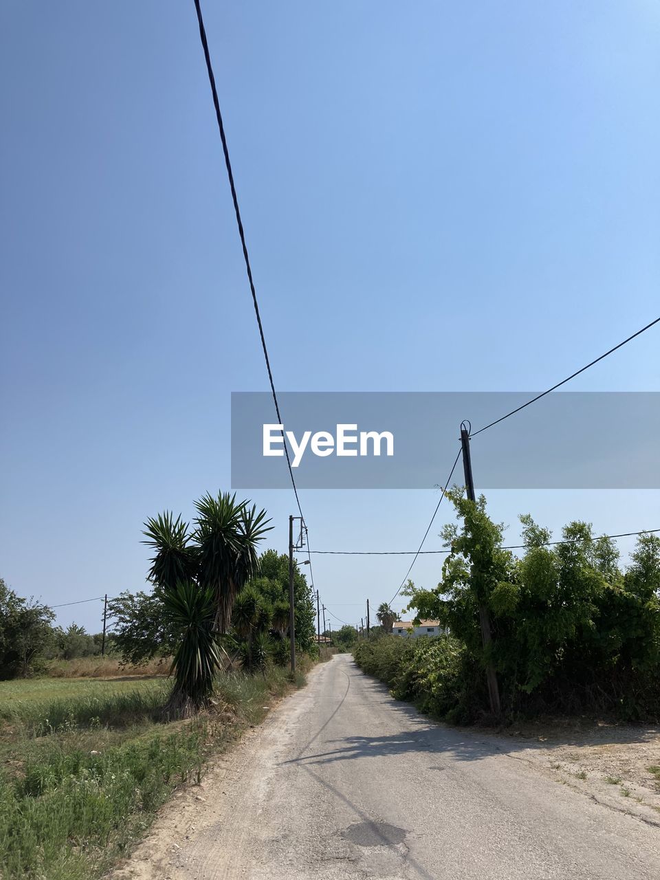 cable, tree, plant, electricity, sky, nature, low angle view, power line, architecture, no people, day, technology, built structure, blue, telephone line, overhead power line, clear sky, outdoors, power supply, telephone pole, building exterior, electricity pylon, wind, street light, power generation, line, growth, building, wall, lighting