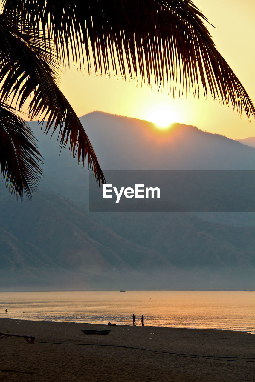 Scenic view of beach during sunset