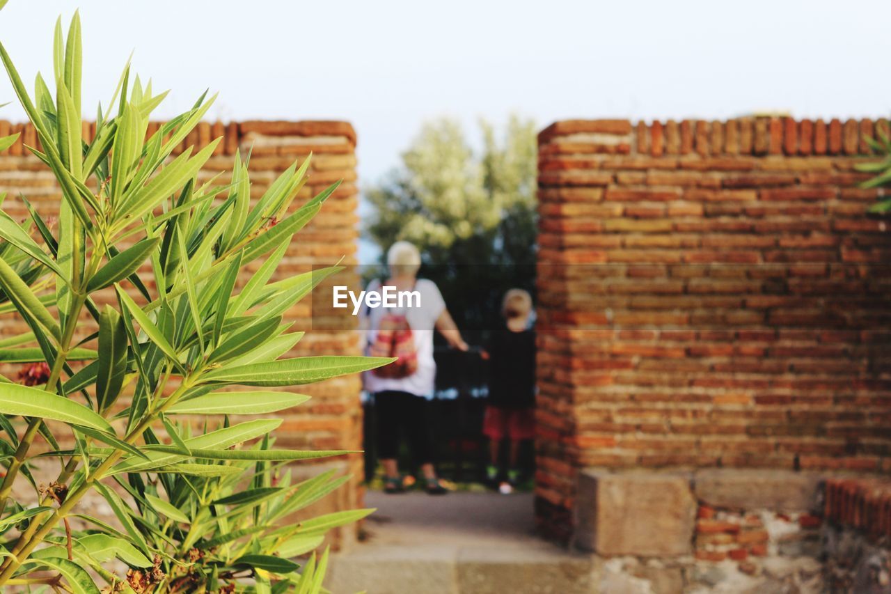 MAN BY TREE AGAINST BUILDING