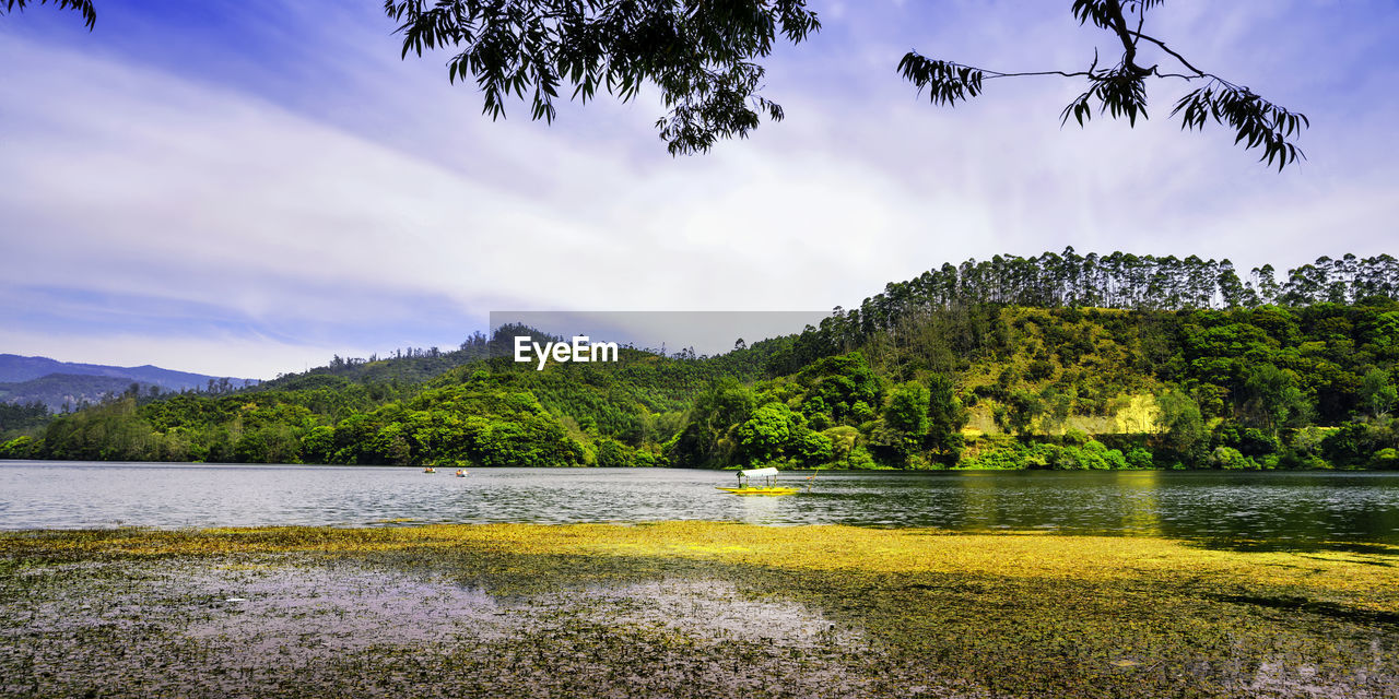 Scenic view of lake by trees against sky