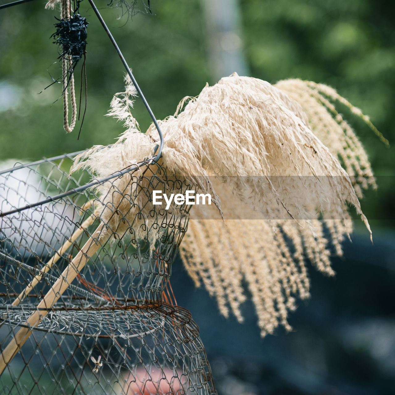 CLOSE-UP OF FISHING NET AGAINST PLANTS