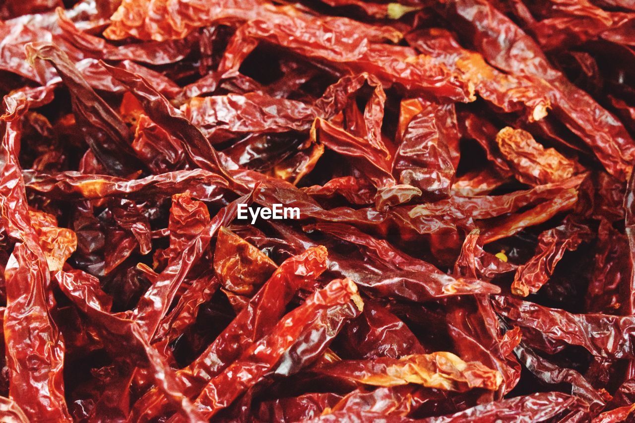 FULL FRAME OF RED CHILI PEPPERS