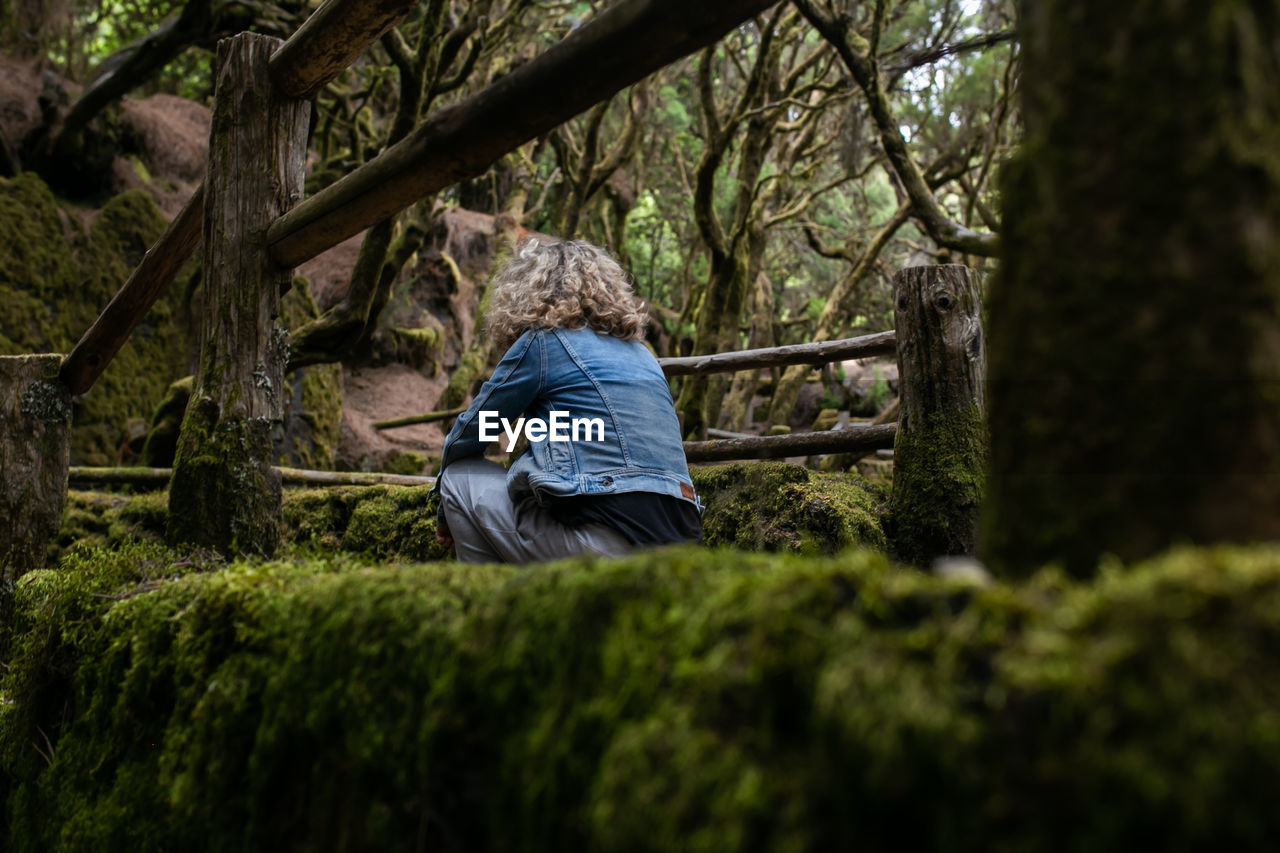 Rear view of a woman in the forest