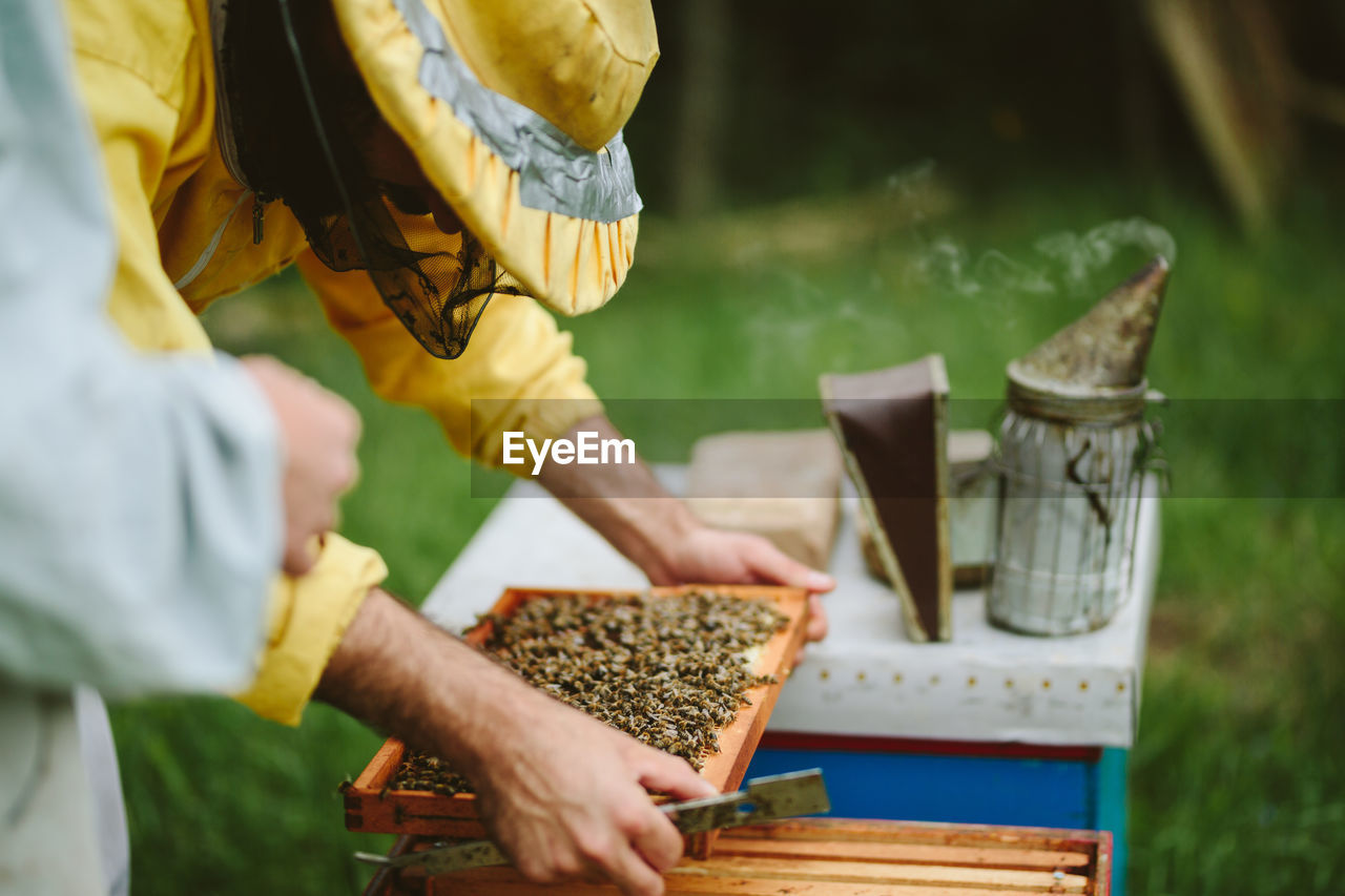 Beekeeper holding beehive tray at farm