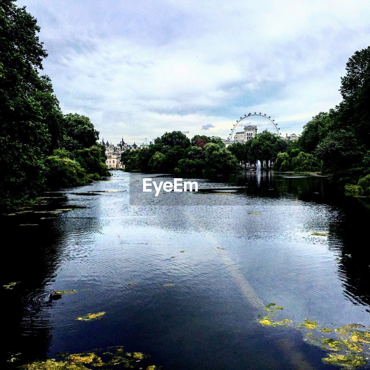 VIEW OF RIVER WITH TREES IN BACKGROUND