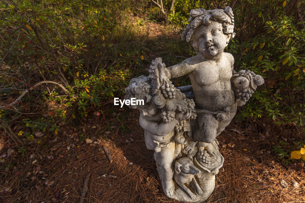 High angle view of statues at vines botanical gardens