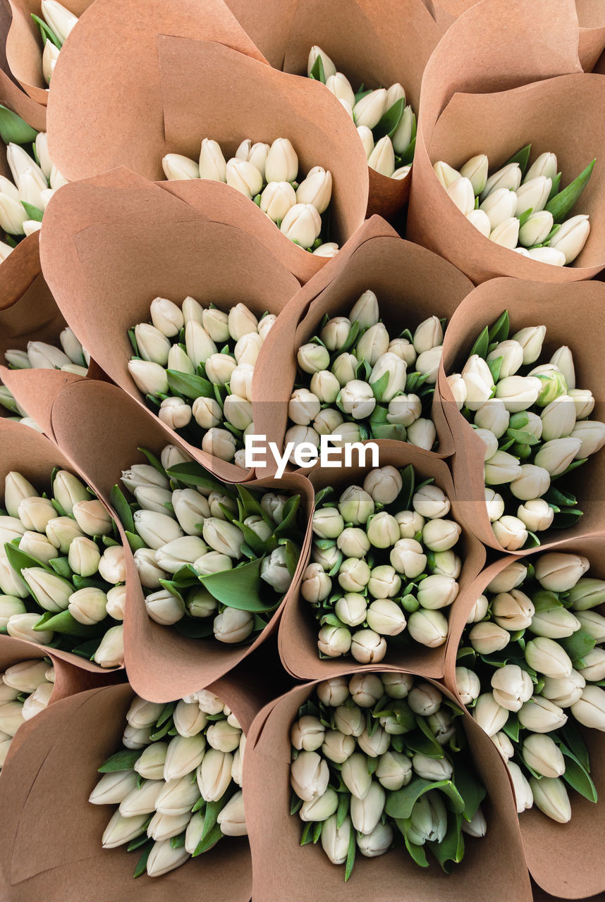 HIGH ANGLE VIEW OF VEGETABLES FOR SALE AT MARKET