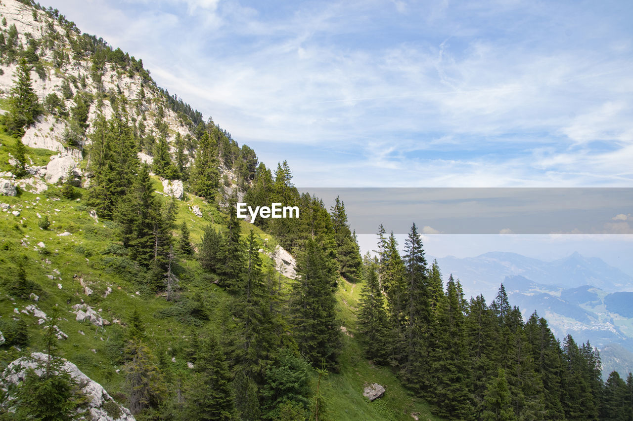 Scenic view of trees and mountains against sky