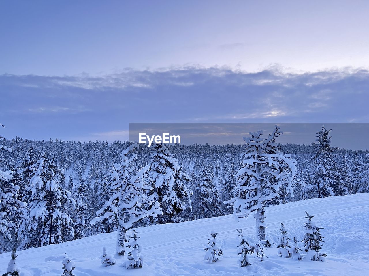 panoramic view of snow covered landscape against sky during winter