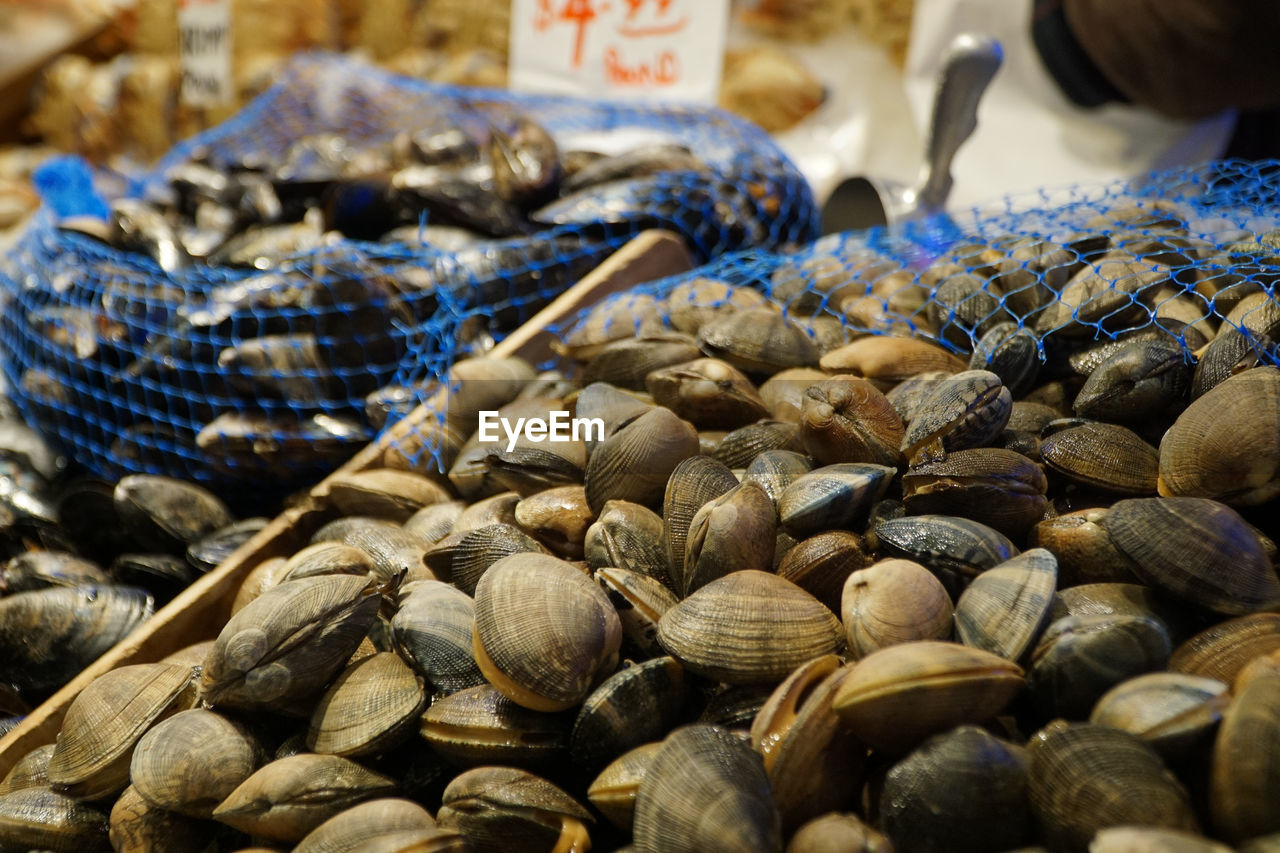 CLOSE-UP OF SHELLS AT MARKET STALL