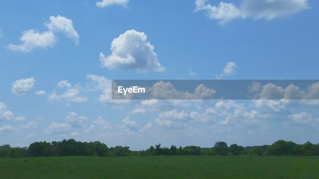 SCENIC VIEW OF GRASSY FIELD AGAINST SKY