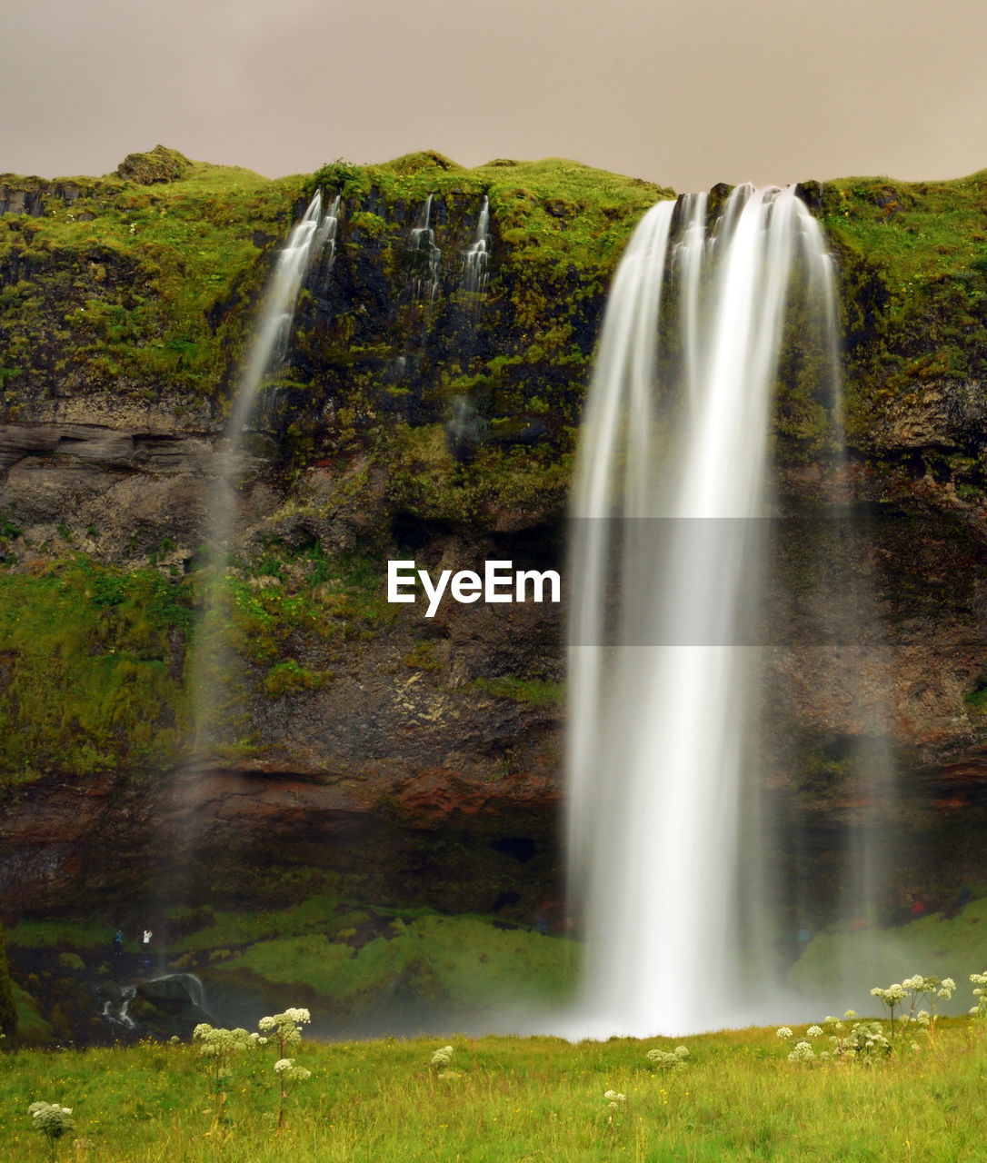 SCENIC VIEW OF WATERFALL IN A FOREST