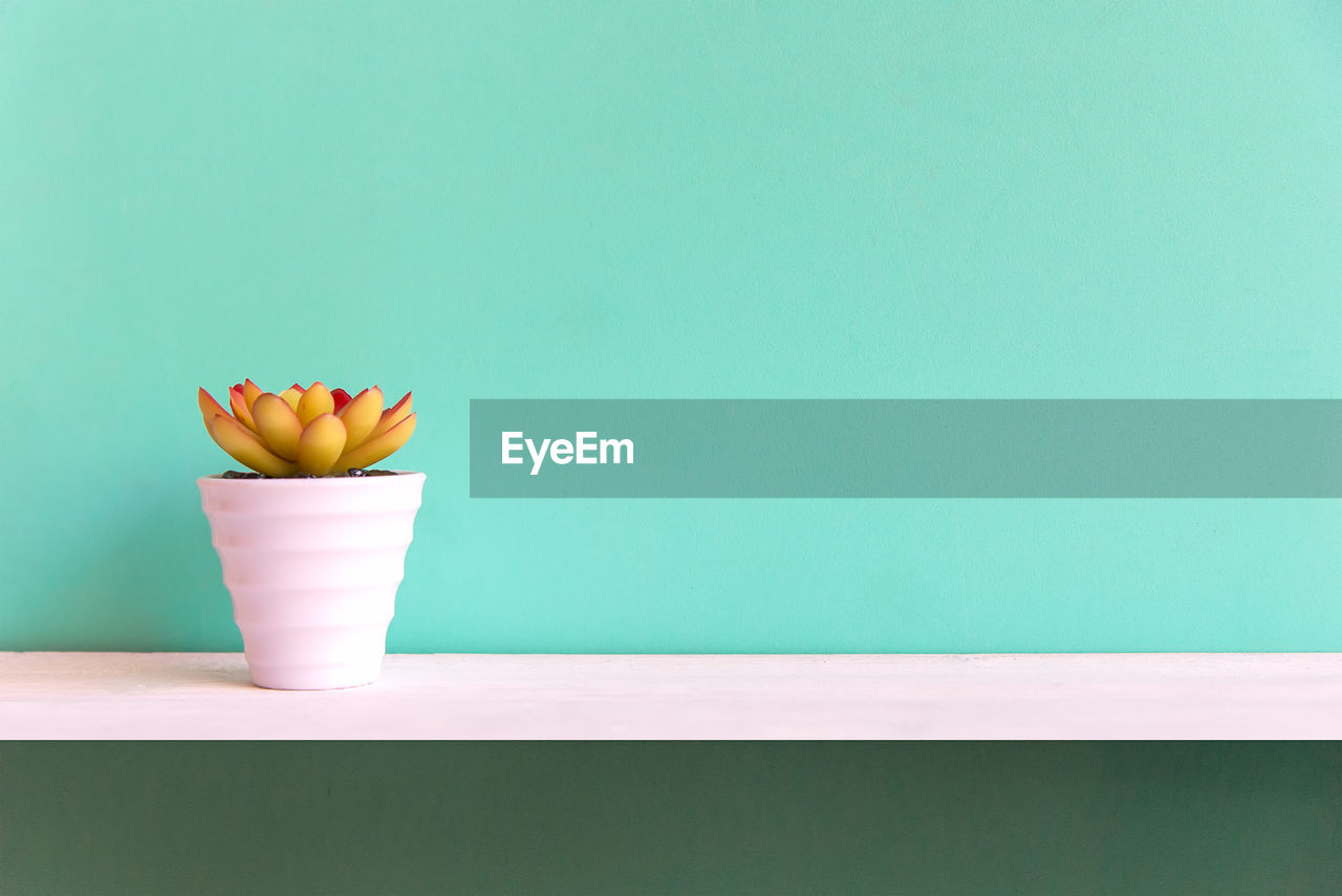 CLOSE-UP OF FRUIT ON TABLE AGAINST WALL