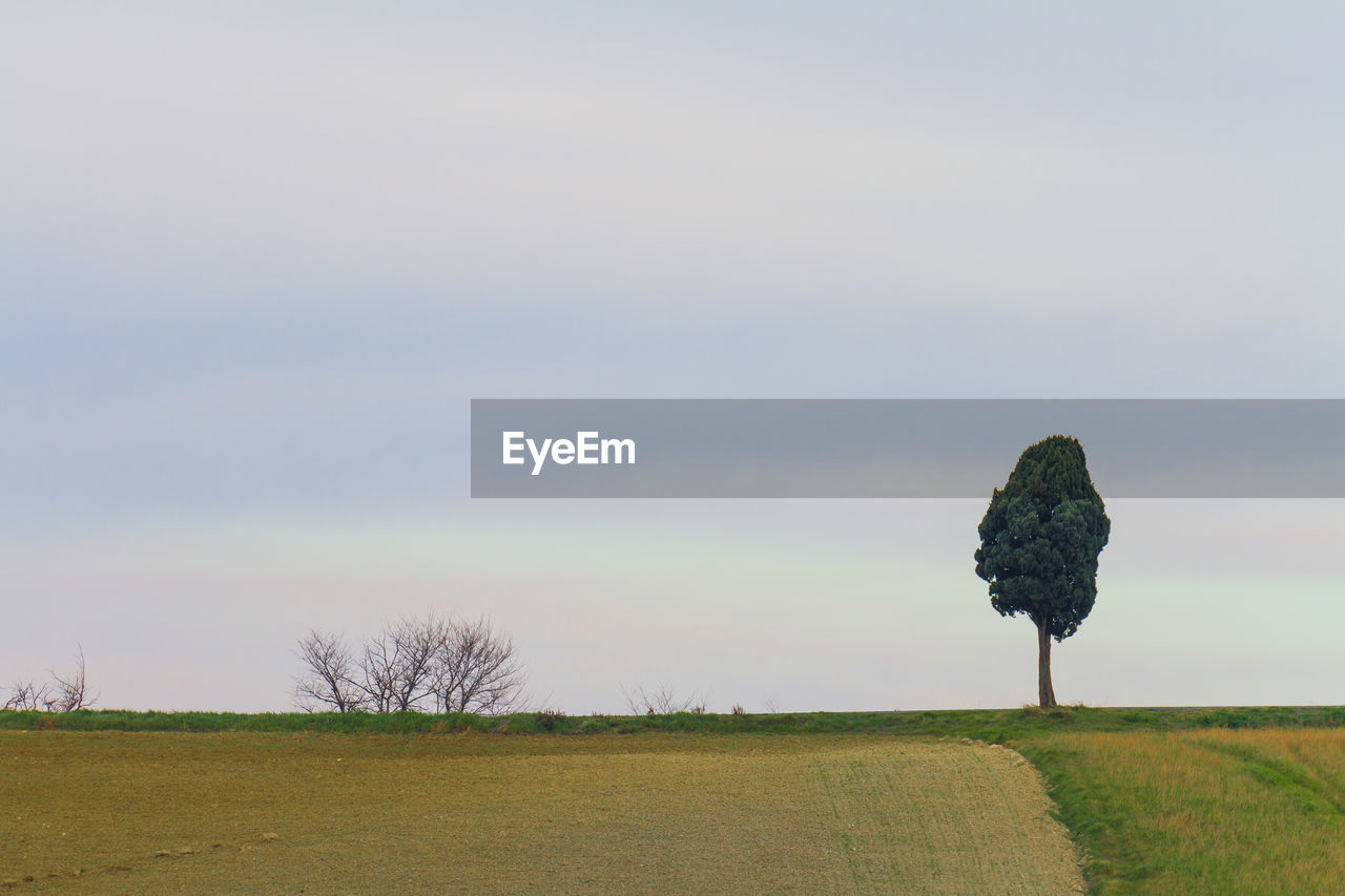 SCENIC VIEW OF LAND AGAINST SKY