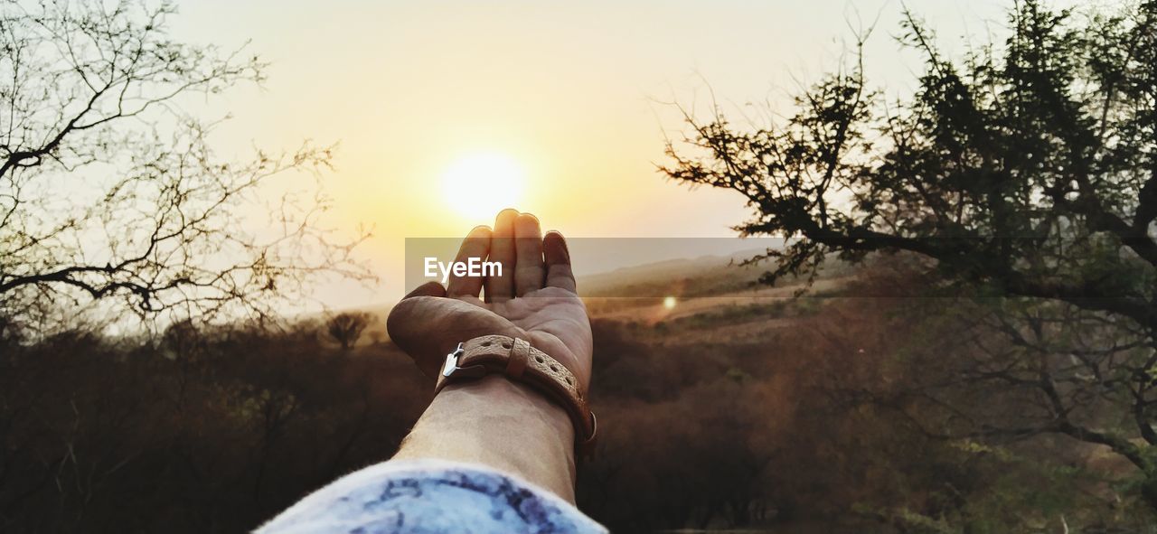 Midsection of person holding sun shining through trees during sunset