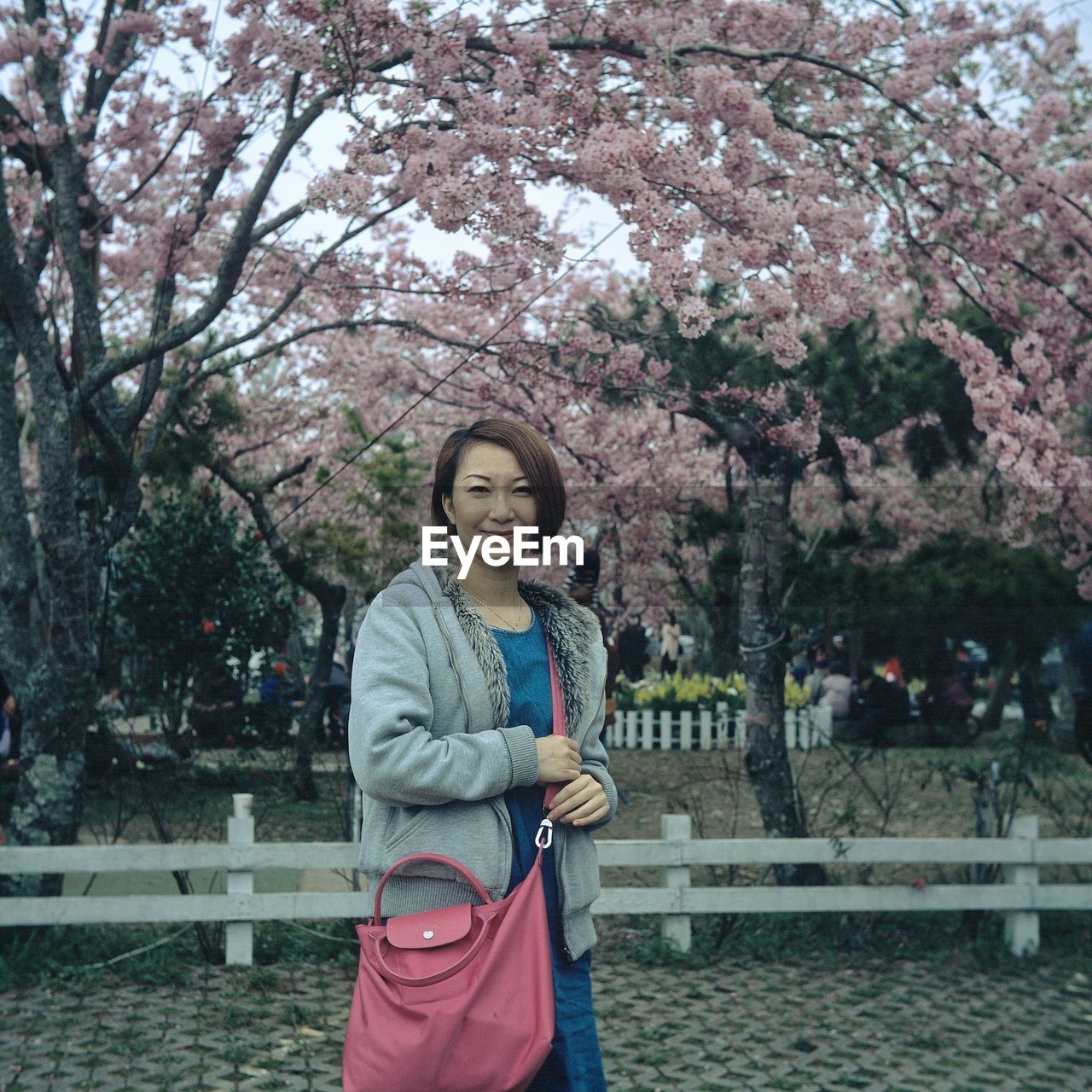 Portrait of smiling woman standing against cherry blossoms on tree 