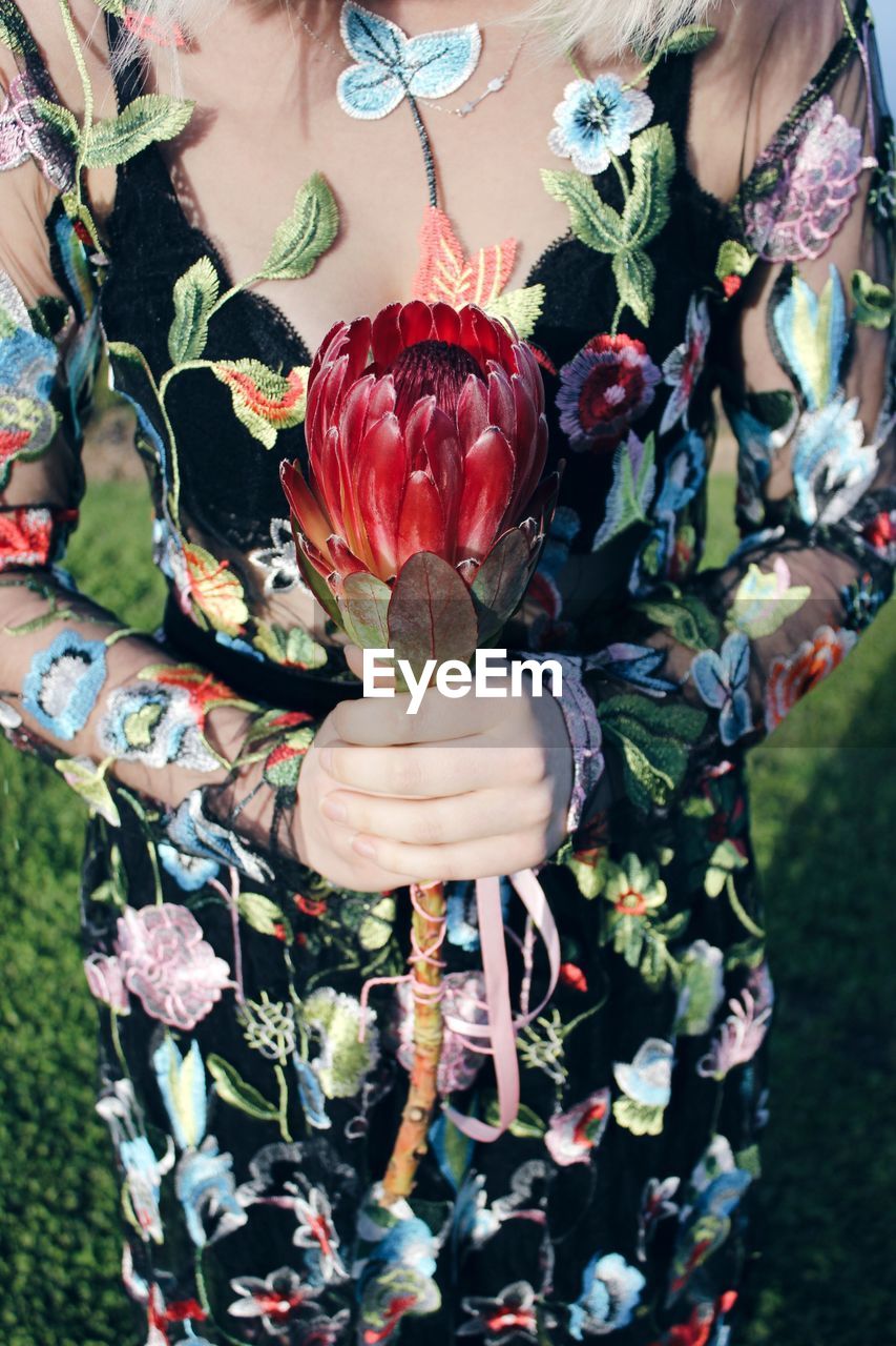 Close-up of hands holding flower