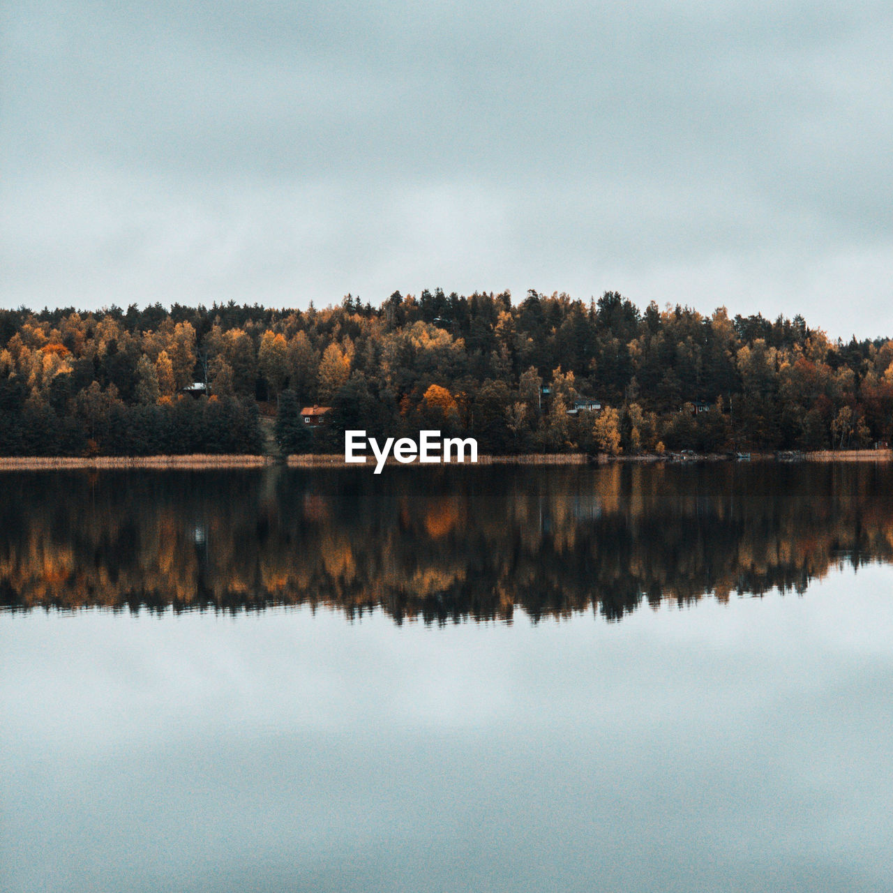 Scenic view of lake by trees against sky