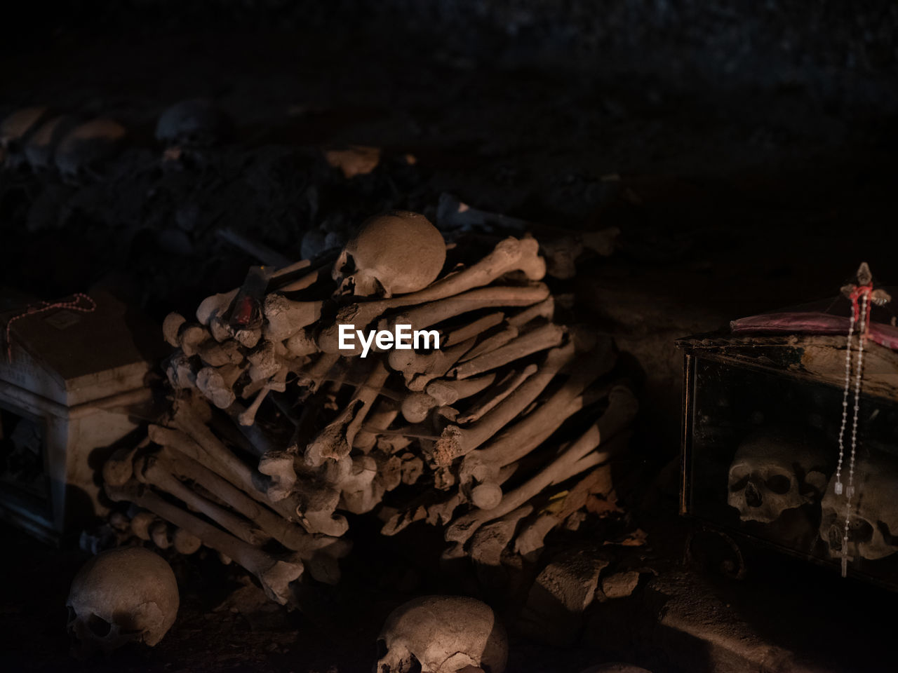 High angle view of human skeletons in darkroom