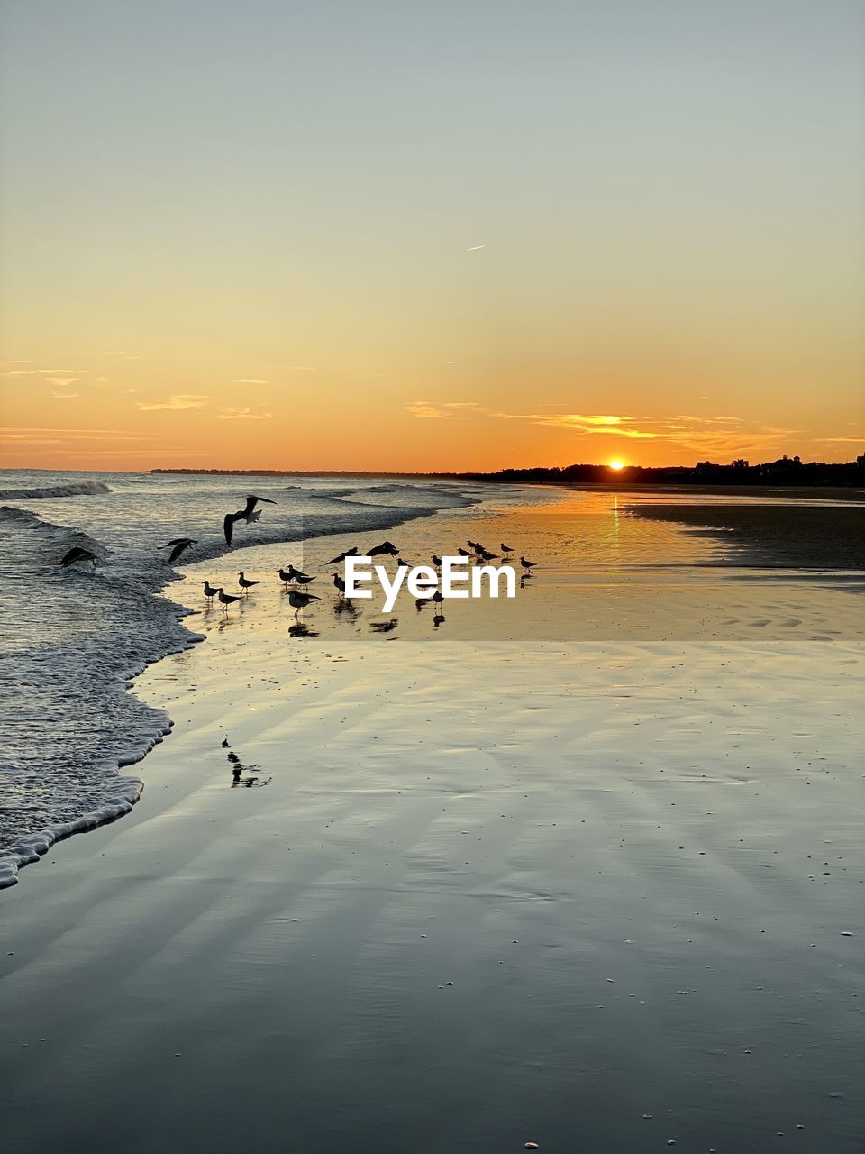 SCENIC VIEW OF SEA DURING SUNSET