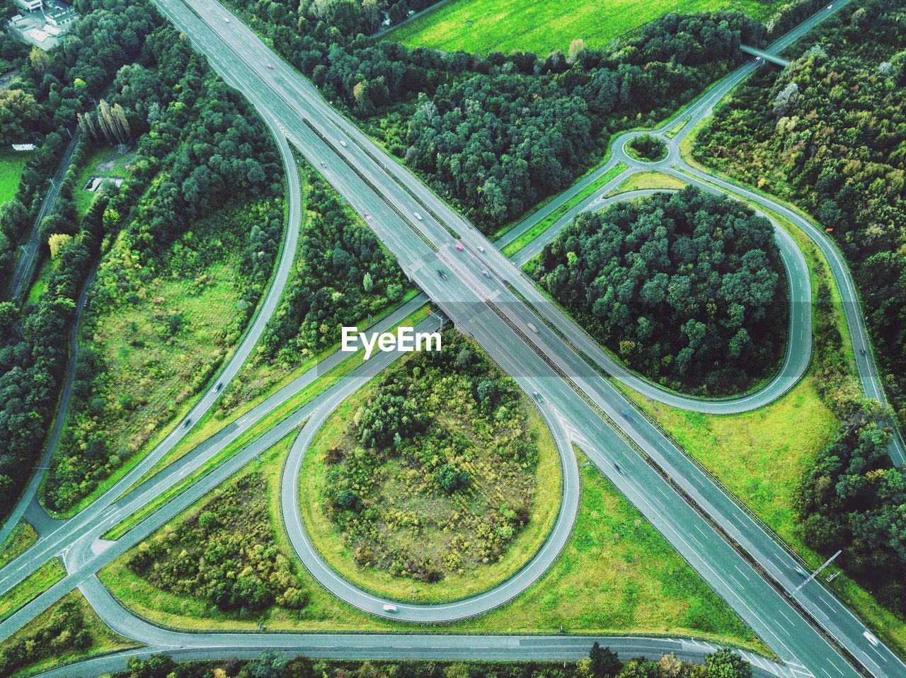 Aerial view of road midst trees