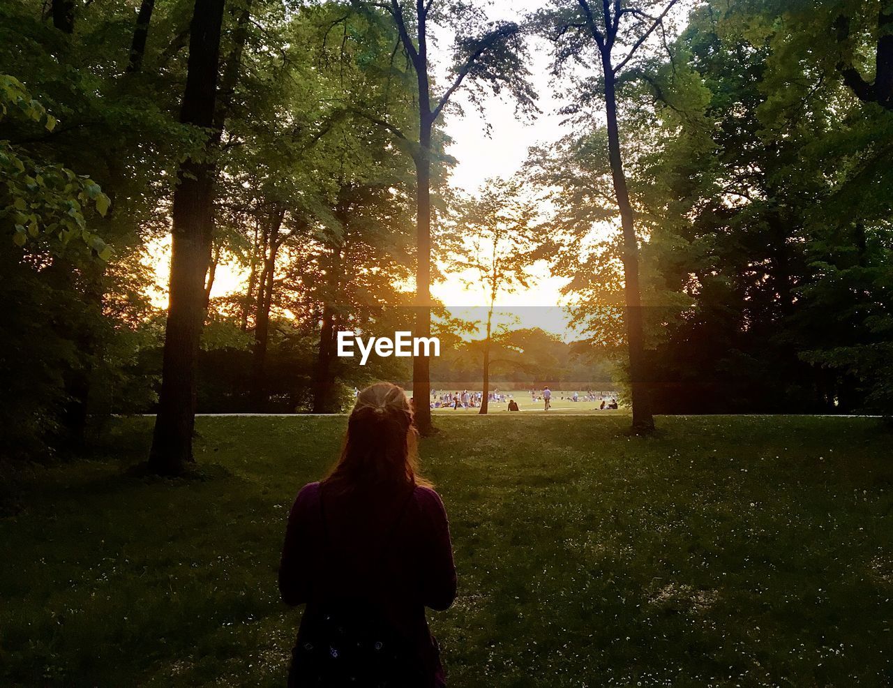 Rear view of woman standing on grass during sunset