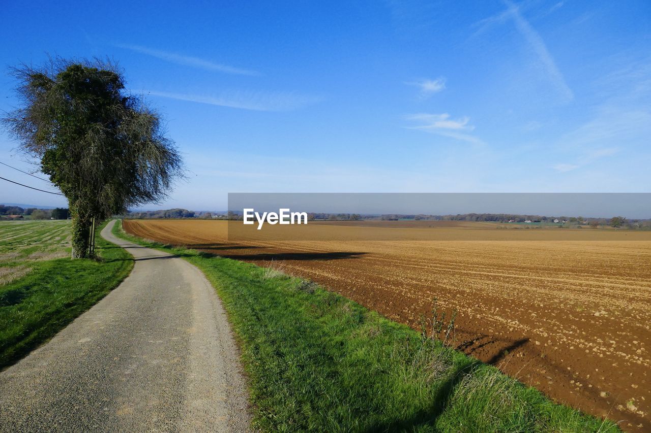 SCENIC VIEW OF AGRICULTURAL LANDSCAPE AGAINST SKY