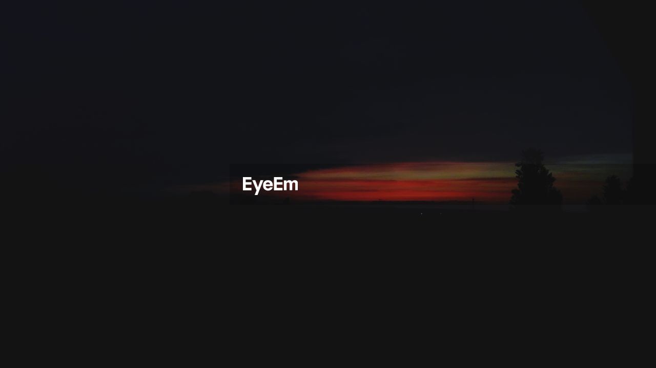 SCENIC VIEW OF SILHOUETTE TREES AGAINST SKY AT NIGHT