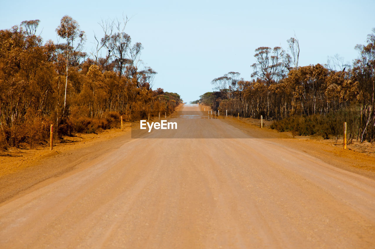 DIRT ROAD ALONG TREES AND PLANTS AGAINST SKY