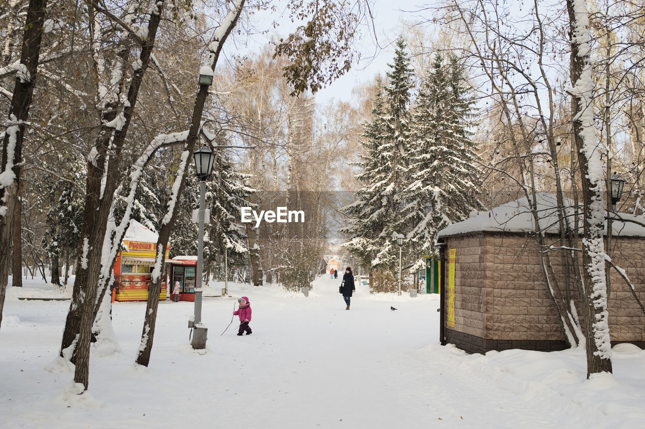 PEOPLE ON SNOW COVERED TREES IN WINTER