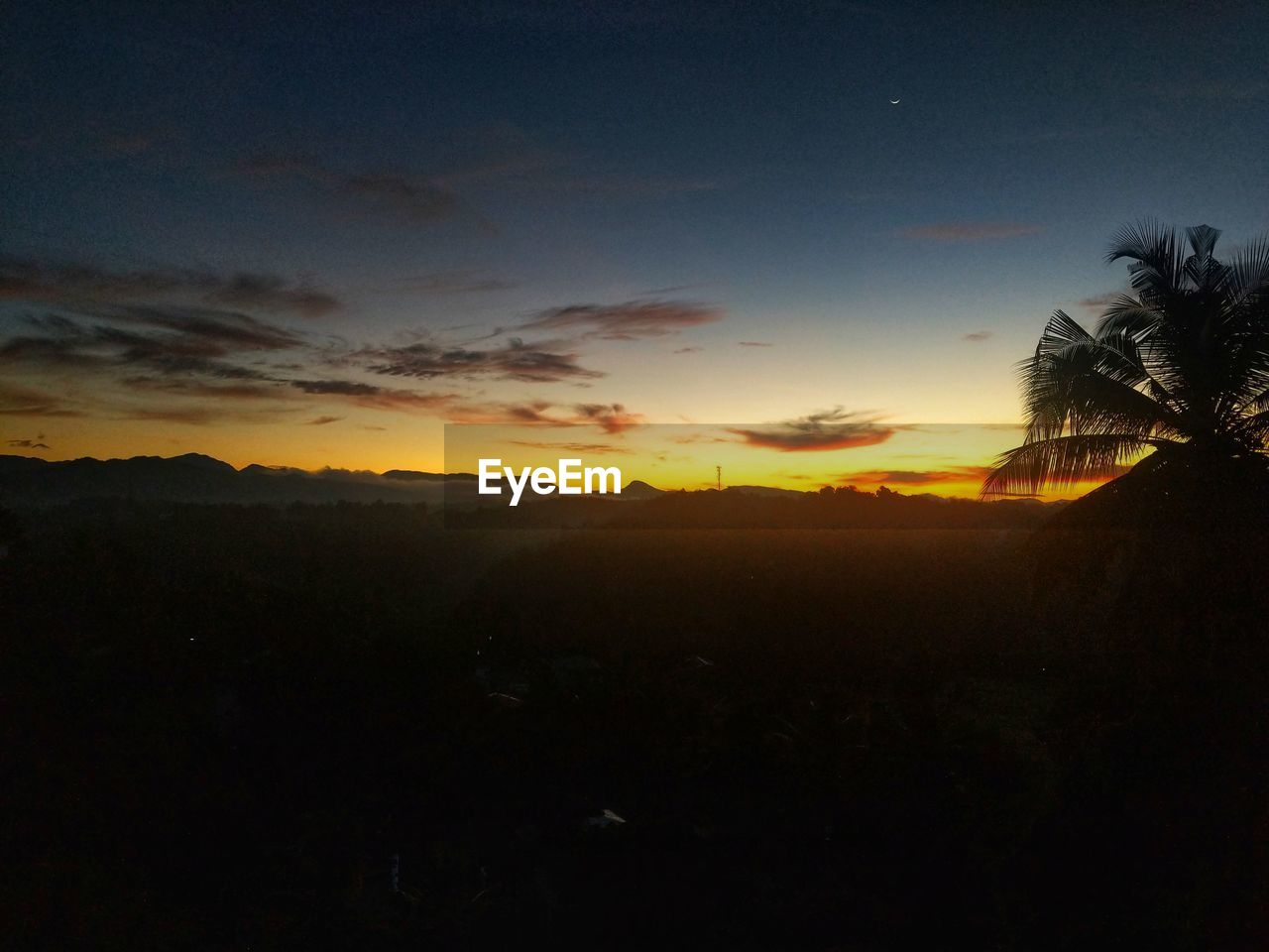 SILHOUETTE TREES ON LANDSCAPE AGAINST SKY DURING SUNSET