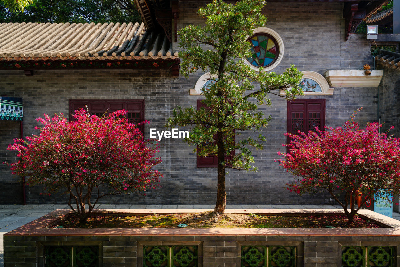 A view of a traditional chinese garden
