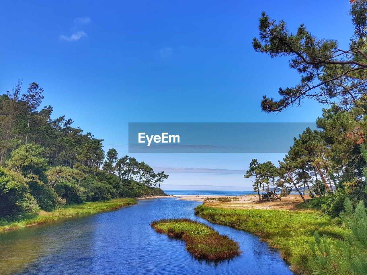 Scenic view of river amidst trees against blue sky