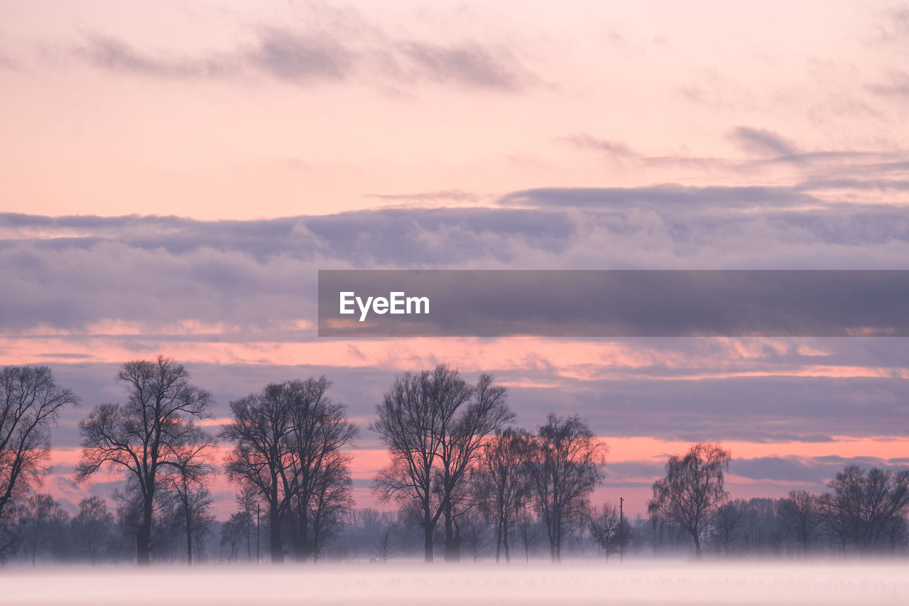 Silhouette trees on landscape against sky during sunset