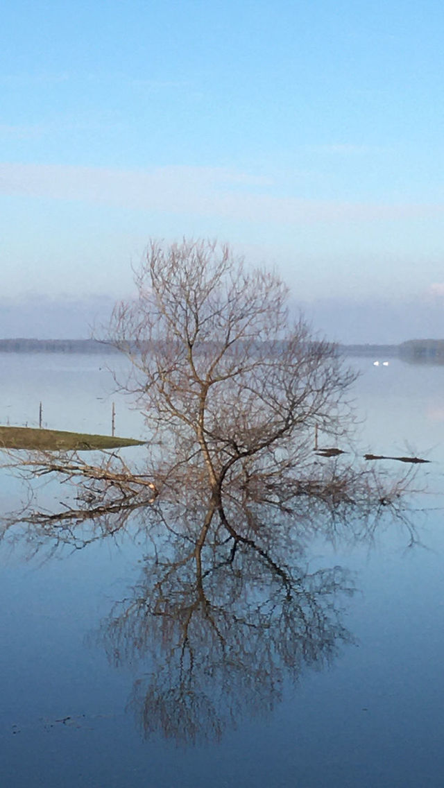 water, reflection, sky, tranquility, winter, beauty in nature, scenics - nature, nature, tree, morning, tranquil scene, lake, plant, no people, branch, blue, environment, bare tree, outdoors, day, beach, shore, mist, dawn, non-urban scene, landscape, frost, freezing, land, idyllic, horizon over water, ice, clear sky