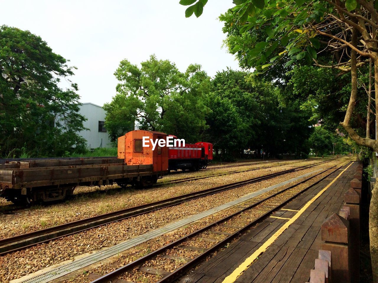 Side view of cropped train against trees