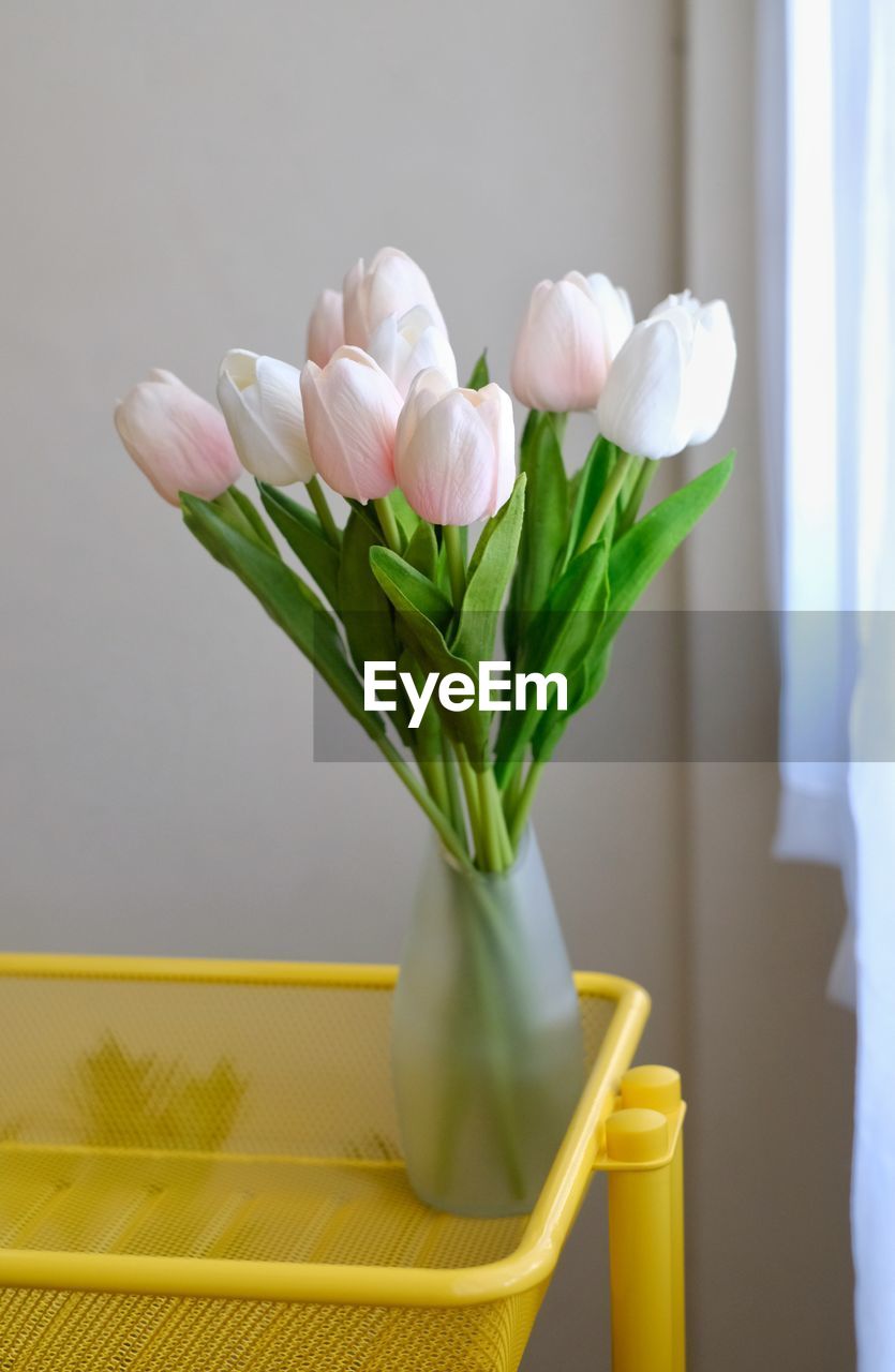 Close-up of white tulips in vase on table