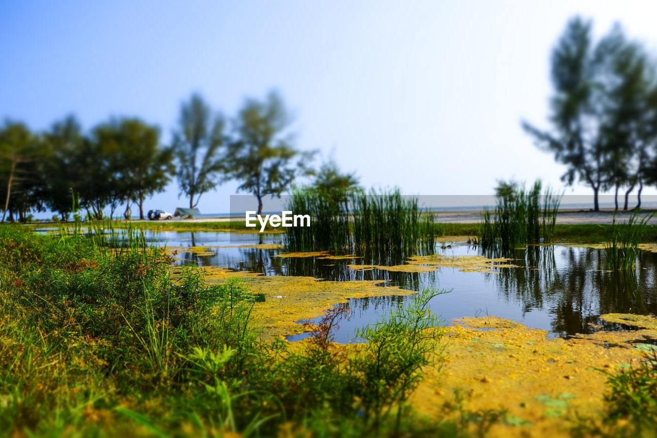 SCENIC VIEW OF LAKE AMIDST TREES AGAINST SKY