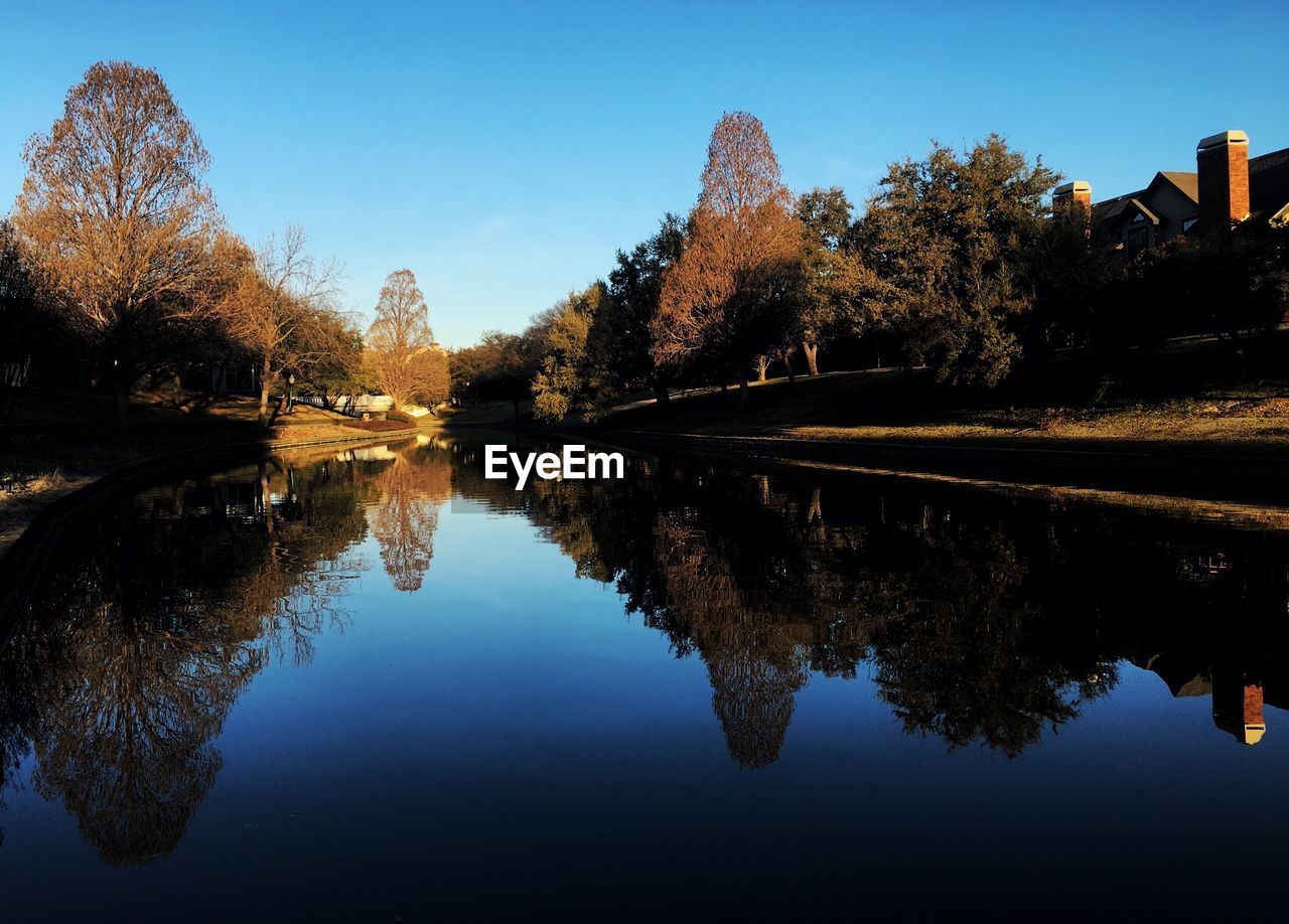 Reflection of trees in water